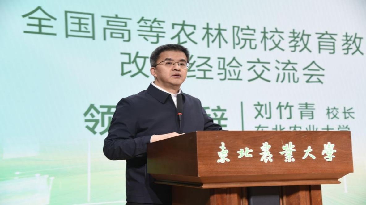 九游平台九游online玩法规则