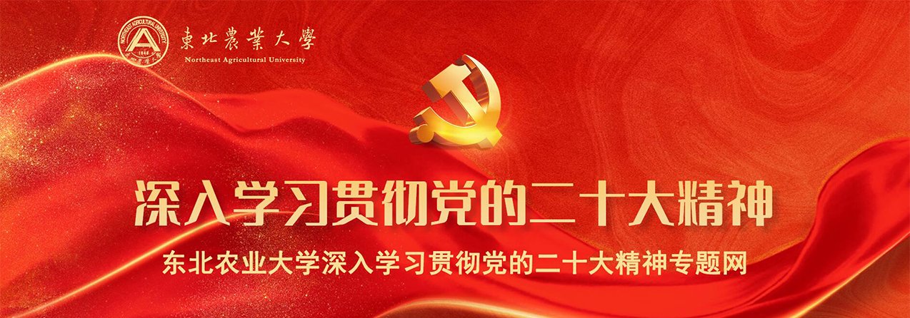 九游平台九游online玩法规则