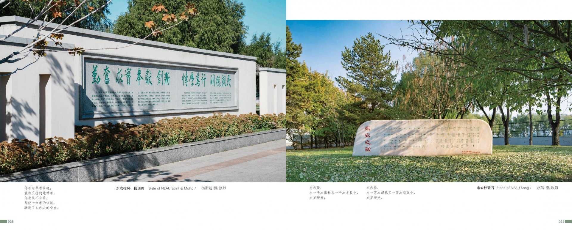 关闭竖排方向锁定时