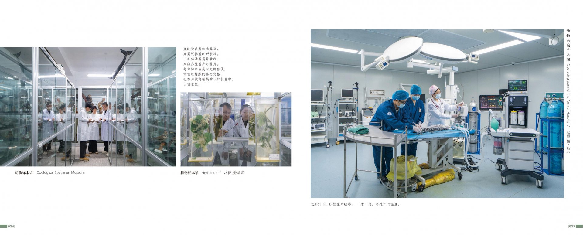 九游平台-九游online（中国